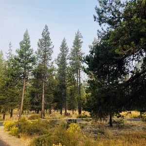 Meet your Posher, Rachelle